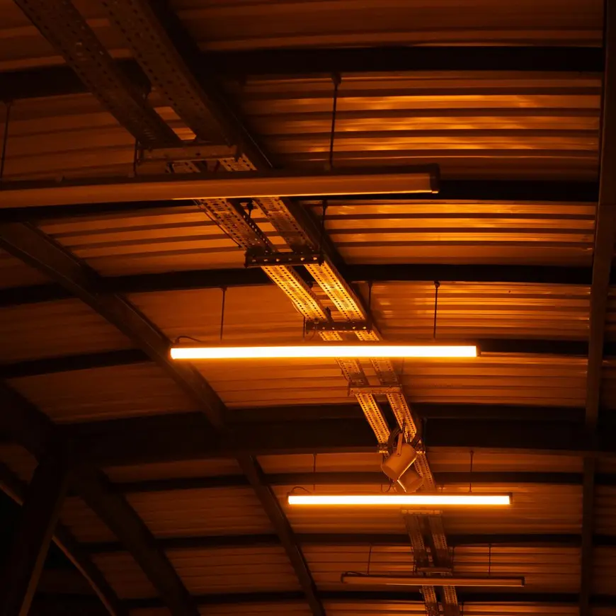 Illuminazione di emergenza industriale